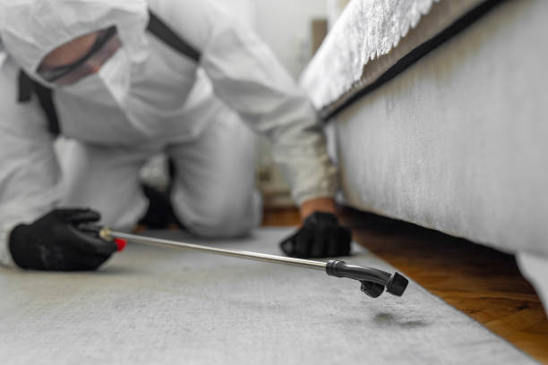 Professional Termite Control technician working in Lawrence County County, TN